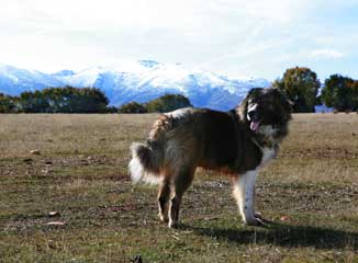 imágenes del rodaje